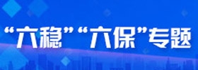六穩六保專題